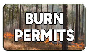 Burn Permit button