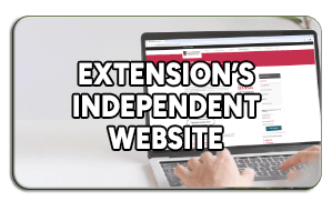 Extension Website button